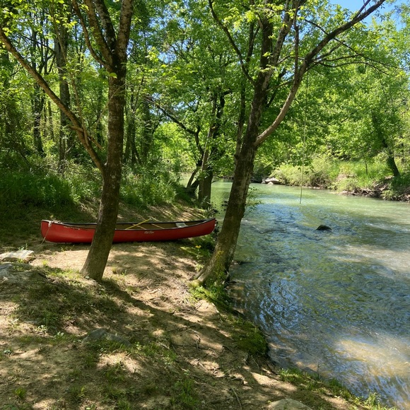 Meet your Posher, Lindsay B - Picture 13 of 15